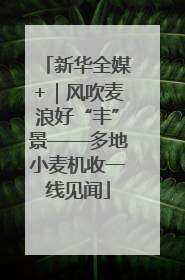 新华全媒+｜风吹麦浪好“丰”景——多地小麦机收一线见闻