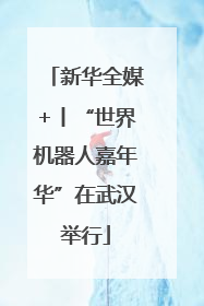 新华全媒+丨“世界机器人嘉年华”在武汉举行
