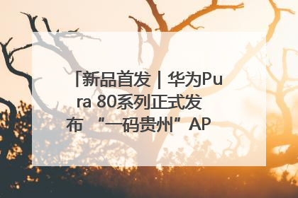 新品首发｜华为Pura 80系列正式发布 “一码贵州”APP抢先开售！