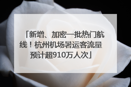 新增、加密一批热门航线！杭州机场暑运客流量预计超910万人次