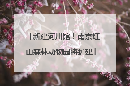 新建河川馆！南京红山森林动物园将扩建