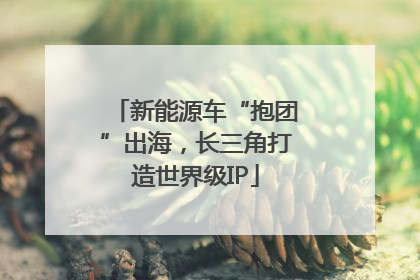 新能源车“抱团”出海，长三角打造世界级IP