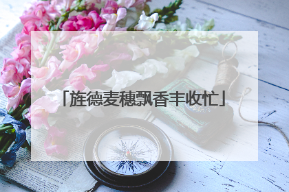 旌德麦穗飘香丰收忙