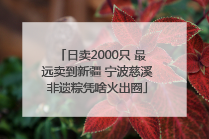 日卖2000只 最远卖到新疆 宁波慈溪非遗粽凭啥火出圈