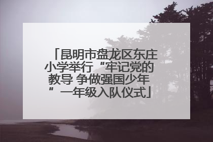 昆明市盘龙区东庄小学举行“牢记党的教导 争做强国少年”一年级入队仪式