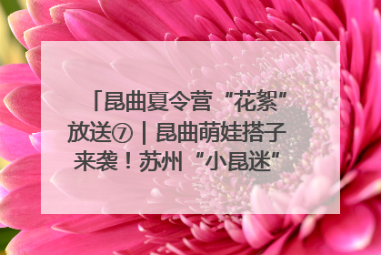 昆曲夏令营“花絮”放送⑦｜昆曲萌娃搭子来袭！苏州“小昆迷”姐弟期待同台演绎“姑苏水磨调”