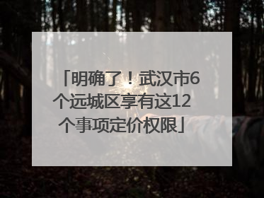 明确了！武汉市6个远城区享有这12个事项定价权限