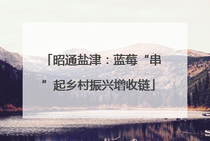 昭通盐津：蓝莓“串”起乡村振兴增收链