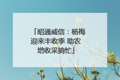 昭通威信：杨梅迎来丰收季 助农增收采摘忙