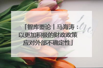 智库要论丨马海涛：以更加积极的财政政策应对外部不确定性