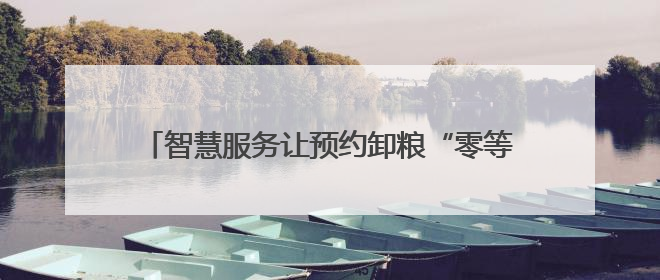 智慧服务让预约卸粮“零等待”丨践行“两高四着力”