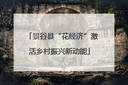 景谷县“花经济”激活乡村振兴新动能