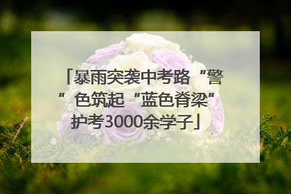 暴雨突袭中考路“警”色筑起“蓝色脊梁”护考3000余学子