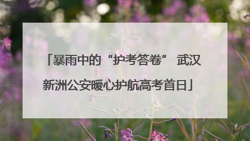 暴雨中的“护考答卷” 武汉新洲公安暖心护航高考首日