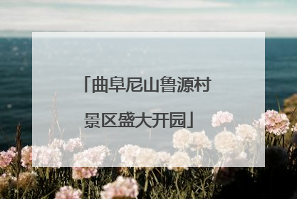 曲阜尼山鲁源村景区盛大开园