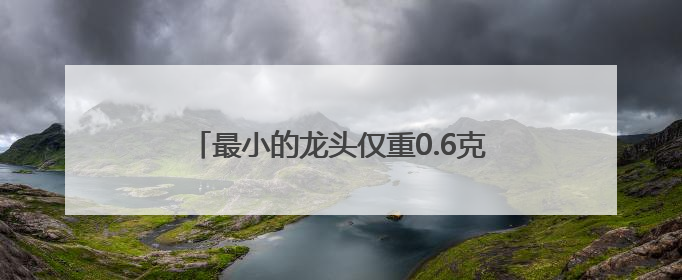 最小的龙头仅重0.6克！手艺人庞希文扎制的微型龙头蜈蚣风筝惊艳亮相