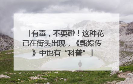 有毒，不要碰！这种花已在街头出现，《甄嬛传》中也有“科普”