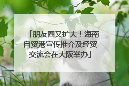 朋友圈又扩大！海南自贸港宣传推介及经贸交流会在大阪举办