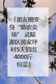 朋友圈变身“助农卖场” 武陵源区黄家坪村5天销出4000斤包菜