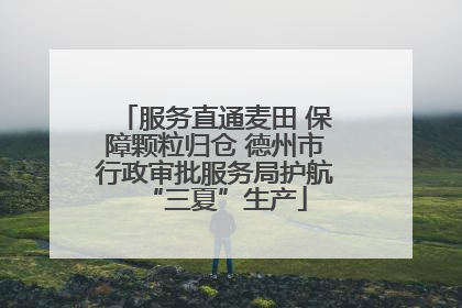 服务直通麦田 保障颗粒归仓 德州市行政审批服务局护航“三夏”生产