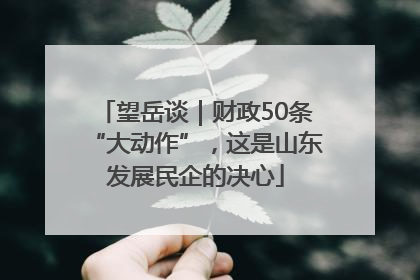 望岳谈｜财政50条“大动作”，这是山东发展民企的决心