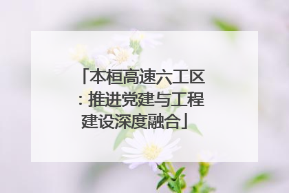 本桓高速六工区：推进党建与工程建设深度融合