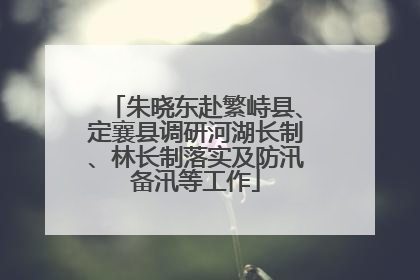 朱晓东赴繁峙县、定襄县调研河湖长制、林长制落实及防汛备汛等工作