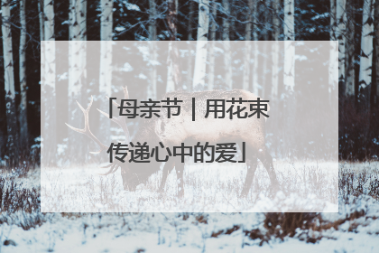 母亲节｜用花束传递心中的爱