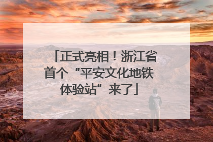 正式亮相！浙江省首个“平安文化地铁体验站”来了