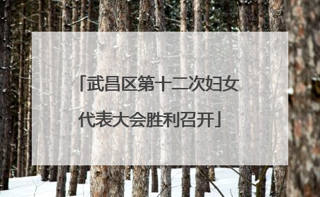 武昌区第十二次妇女代表大会胜利召开