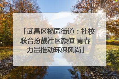 武昌区杨园街道：社校联合扮靓社区颜值 青春力量推动环保风尚