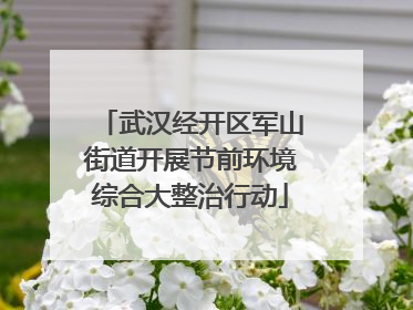 武汉经开区军山街道开展节前环境综合大整治行动