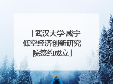 武汉大学·咸宁低空经济创新研究院签约成立