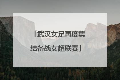 武汉女足再度集结备战女超联赛