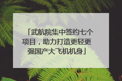 武航院集中签约七个项目，助力打造更轻更强国产大飞机机身