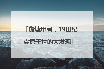 殷墟甲骨，19世纪震惊于世的大发现
