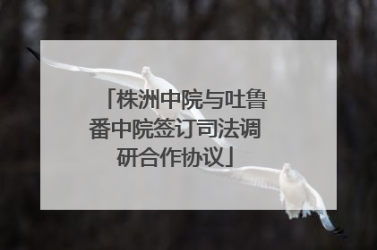 株洲中院与吐鲁番中院签订司法调研合作协议