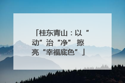 桂东青山：以“动”治“净” 擦亮“幸福底色”