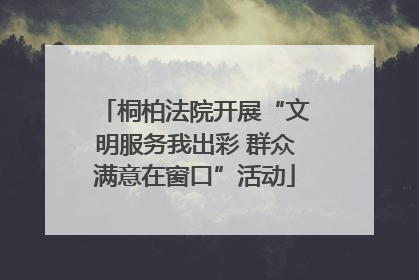 桐柏法院开展“文明服务我出彩 群众满意在窗口”活动