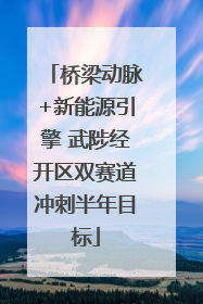 桥梁动脉+新能源引擎 武陟经开区双赛道冲刺半年目标