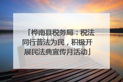 桦南县税务局：税法同行普法为民，积极开展民法典宣传月活动