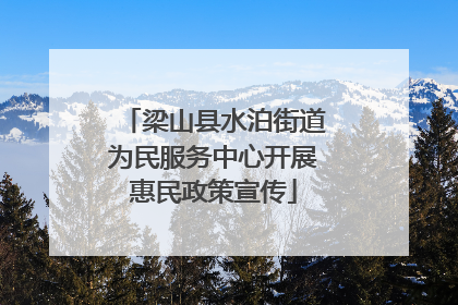 梁山县水泊街道为民服务中心开展惠民政策宣传
