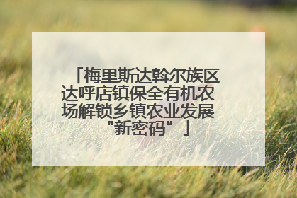 梅里斯达斡尔族区达呼店镇保全有机农场解锁乡镇农业发展“新密码”