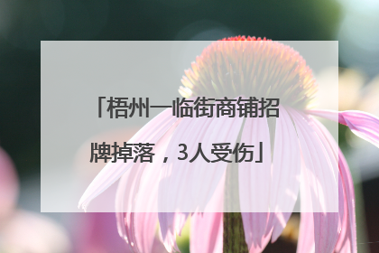 梧州一临街商铺招牌掉落，3人受伤