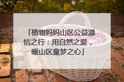 植物妈妈山区公益温情之行：用自然之爱，暖山区童梦之心