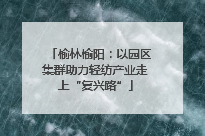 榆林榆阳：以园区集群助力轻纺产业走上“复兴路”