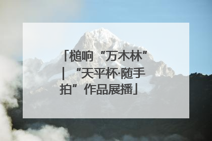 槌响“万木林”｜“天平杯·随手拍”作品展播