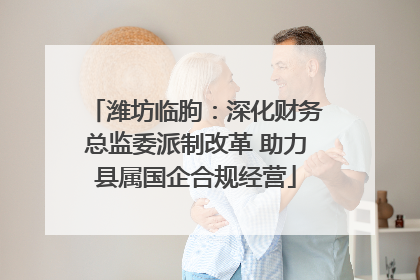 潍坊临朐：深化财务总监委派制改革 助力县属国企合规经营