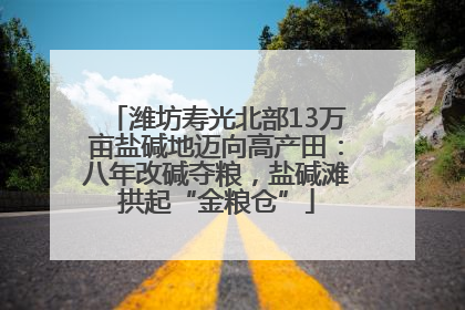 潍坊寿光北部13万亩盐碱地迈向高产田：八年改碱夺粮，盐碱滩拱起“金粮仓”
