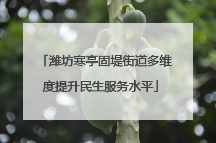 潍坊寒亭固堤街道多维度提升民生服务水平